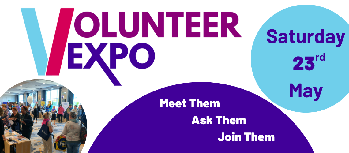 2026 Volunteer Expo website
