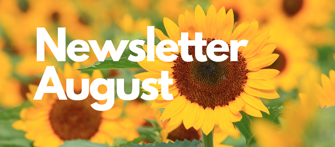 Newsletter August